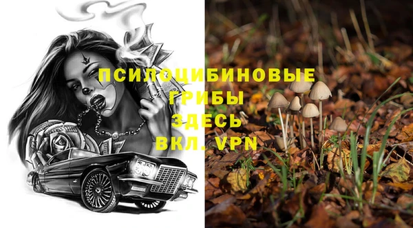 ГАЛЛЮЦИНОГЕННЫЕ ГРИБЫ Михайлов