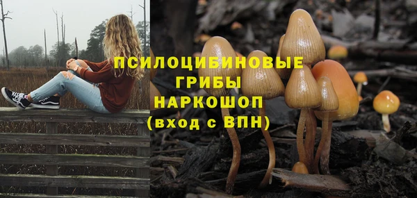 spice Инсар
